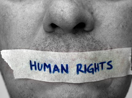 Public interest litigation